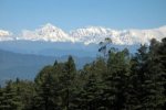 view-from-Ranikhet